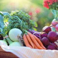 vegetables-onions-carrots-2485055 vegetables, onions, carrots-2485055.jpg